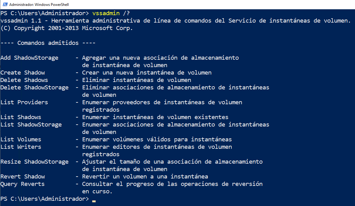 vssadmin instantaneas en windows server